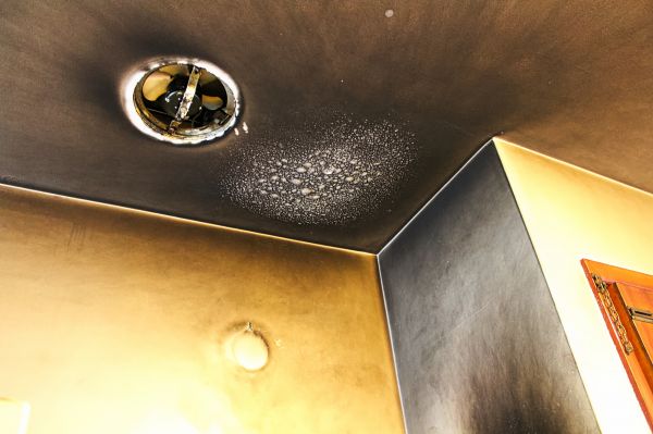 Smoke Damage Removal in Bradenton